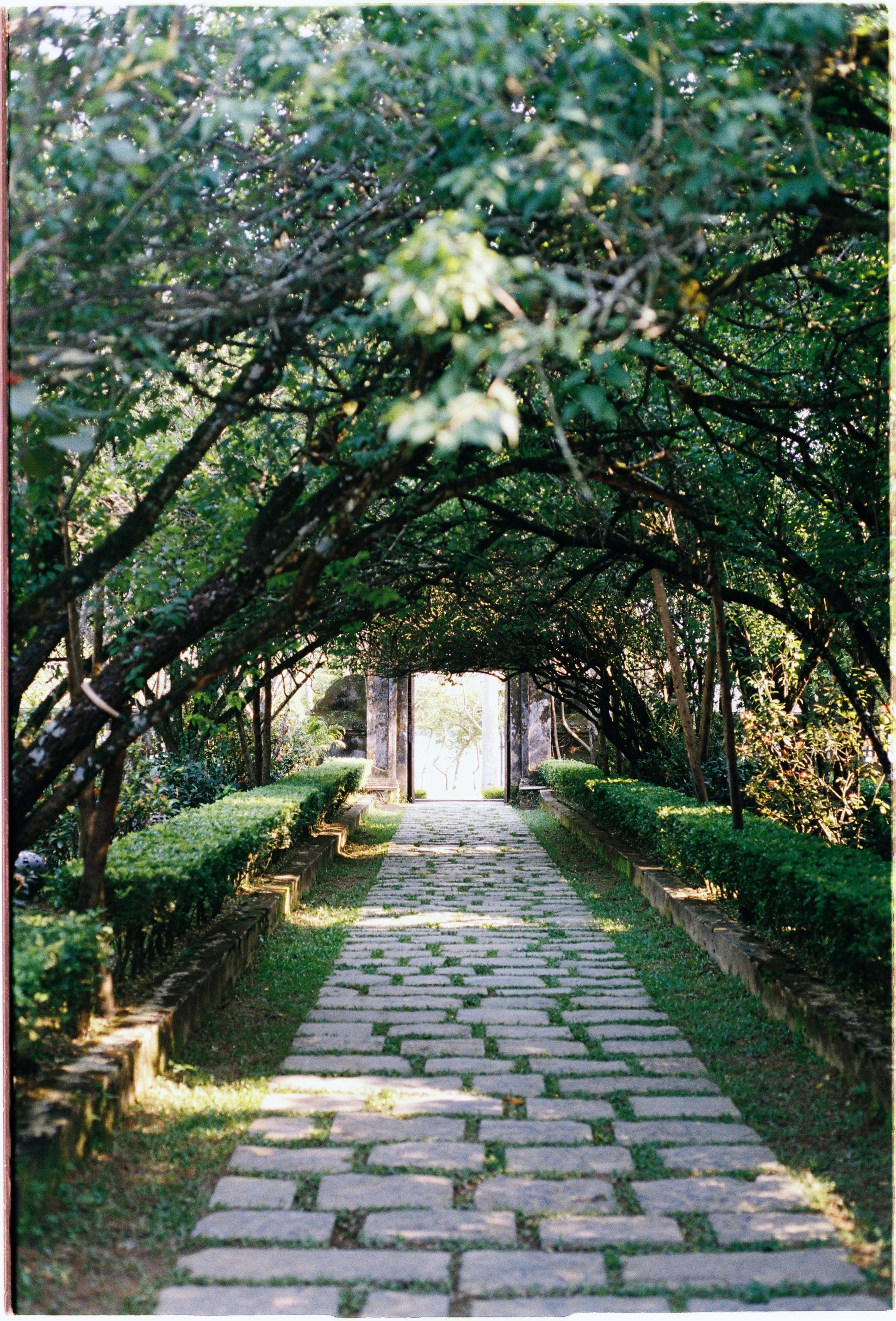 LANDSCAPE DESIGN & DEVELOPMENT Detail 2