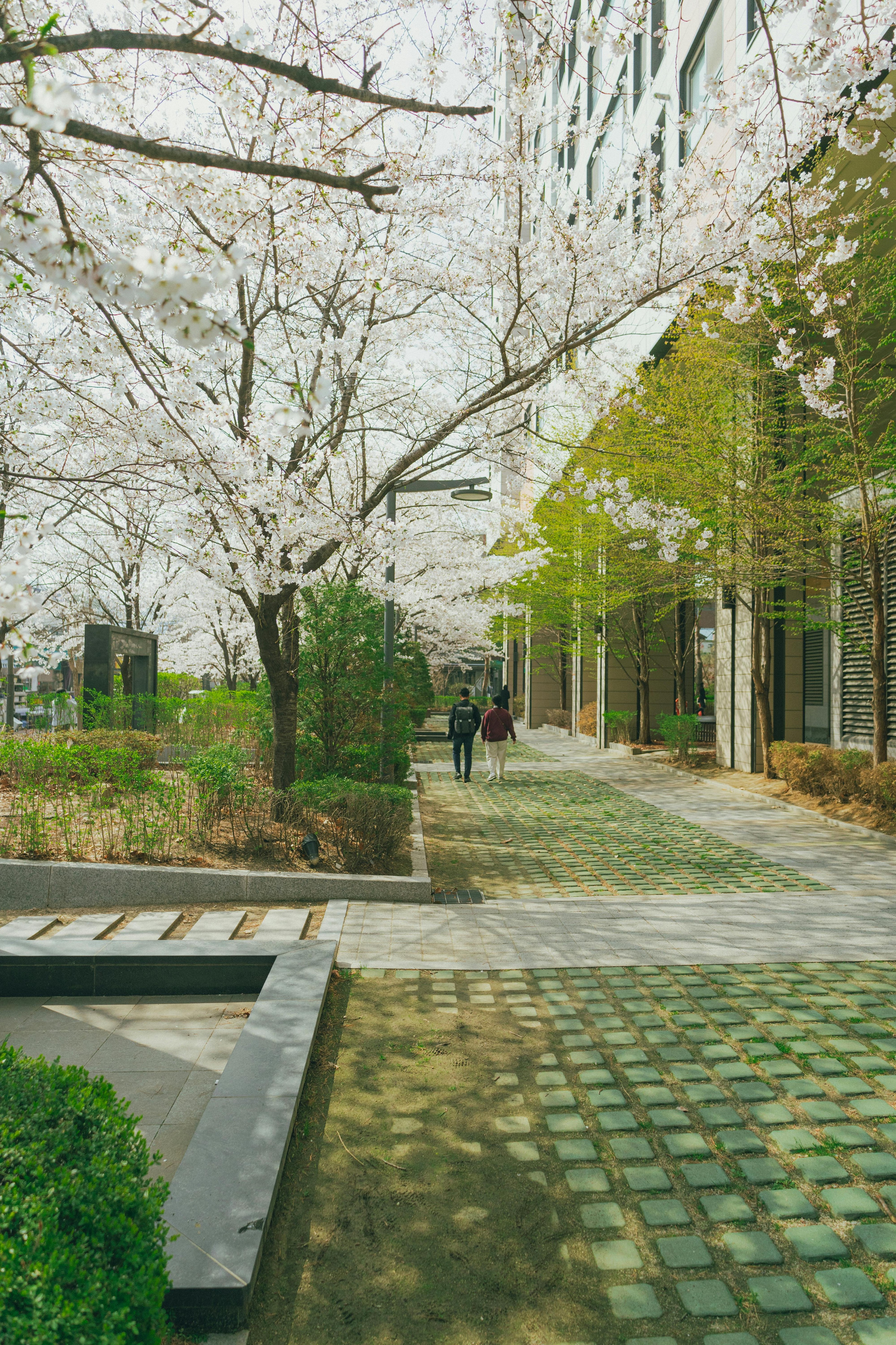 LANDSCAPE DESIGN & DEVELOPMENT Detail 3